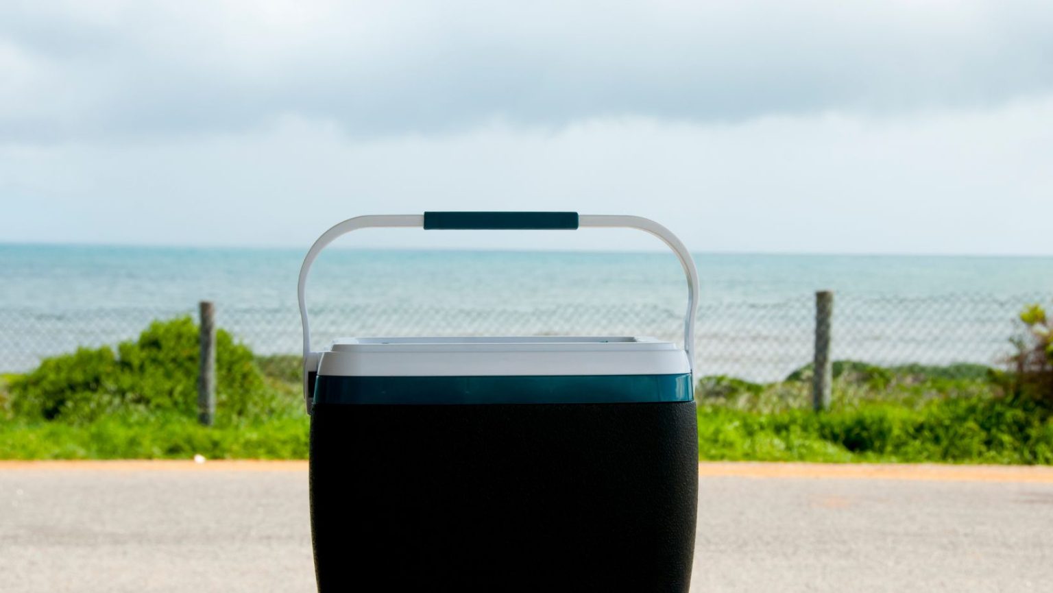 The Best Beach Coolers for All Your Summer Fun 2023