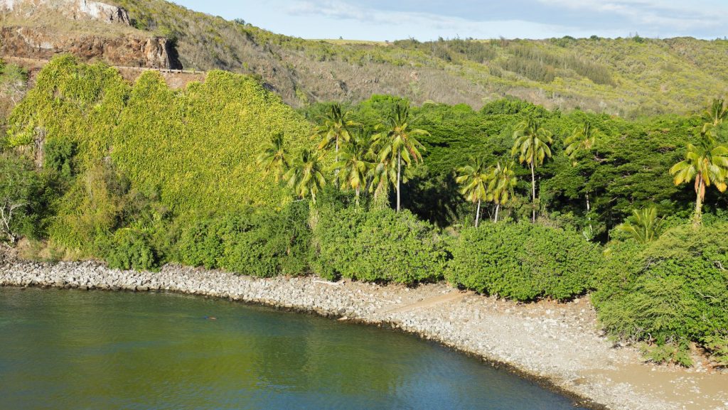 Honolua Bay