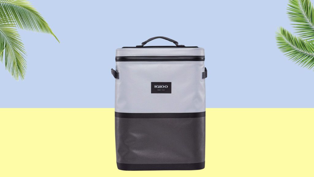 Igloo Reactor 24 Can Backpack