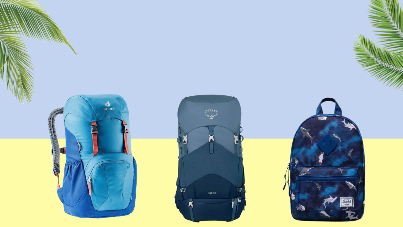 Top 10 Backpacks for Travel with Kids BeachLifeOn