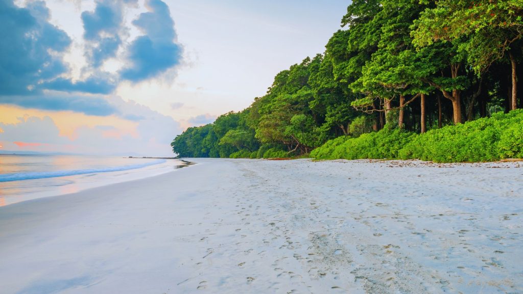 Radhanagar Beach, Havelock Island