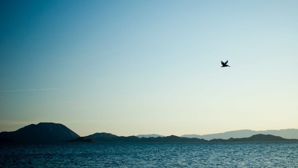 Bahia de los Angeles