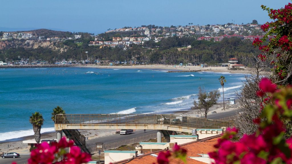 Doheny State Beach