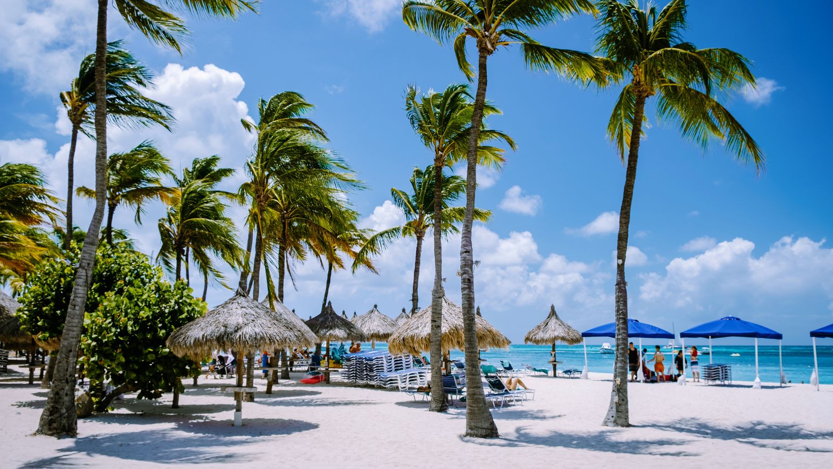 Must-Visit Beaches in Aruba