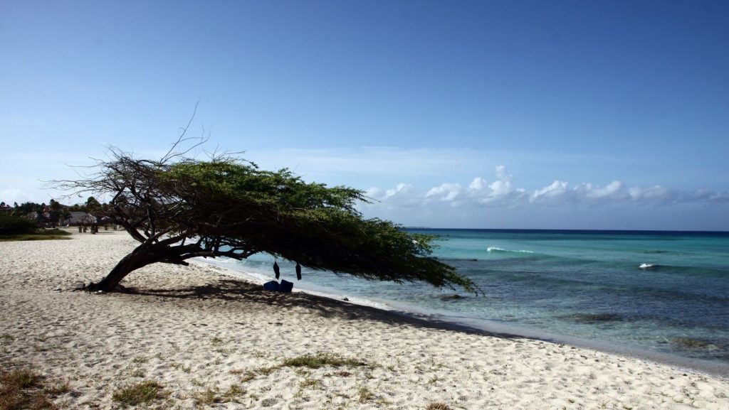 Savaneta Beach Aruba