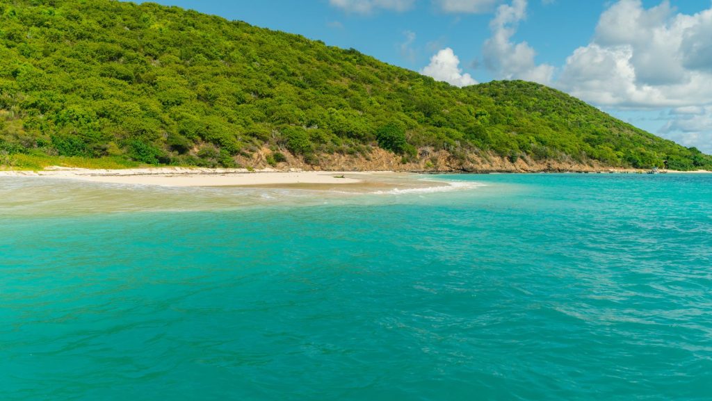 Buck Island’s Turtle Beach