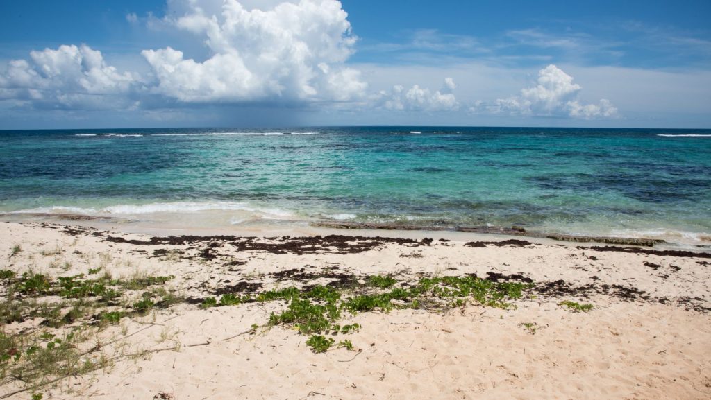 Isaac's Bay