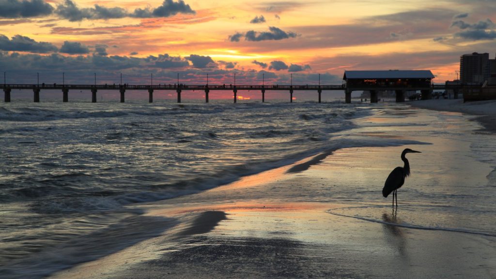 Orange Beach Alabama Sunset