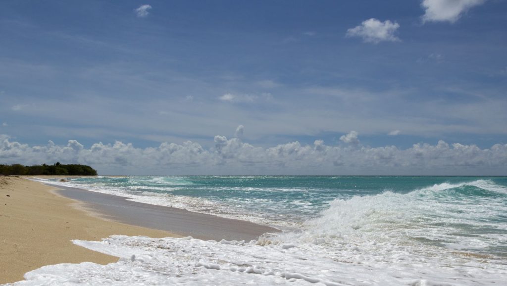 Sandy Point Beach
