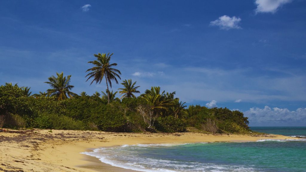 Shoys Beach