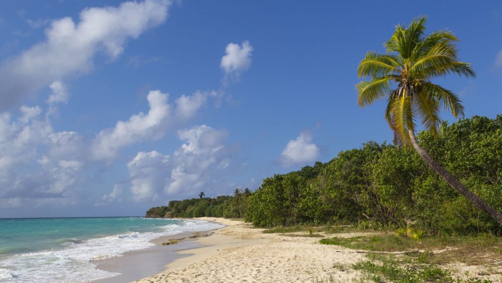 Sprat Hall Beach